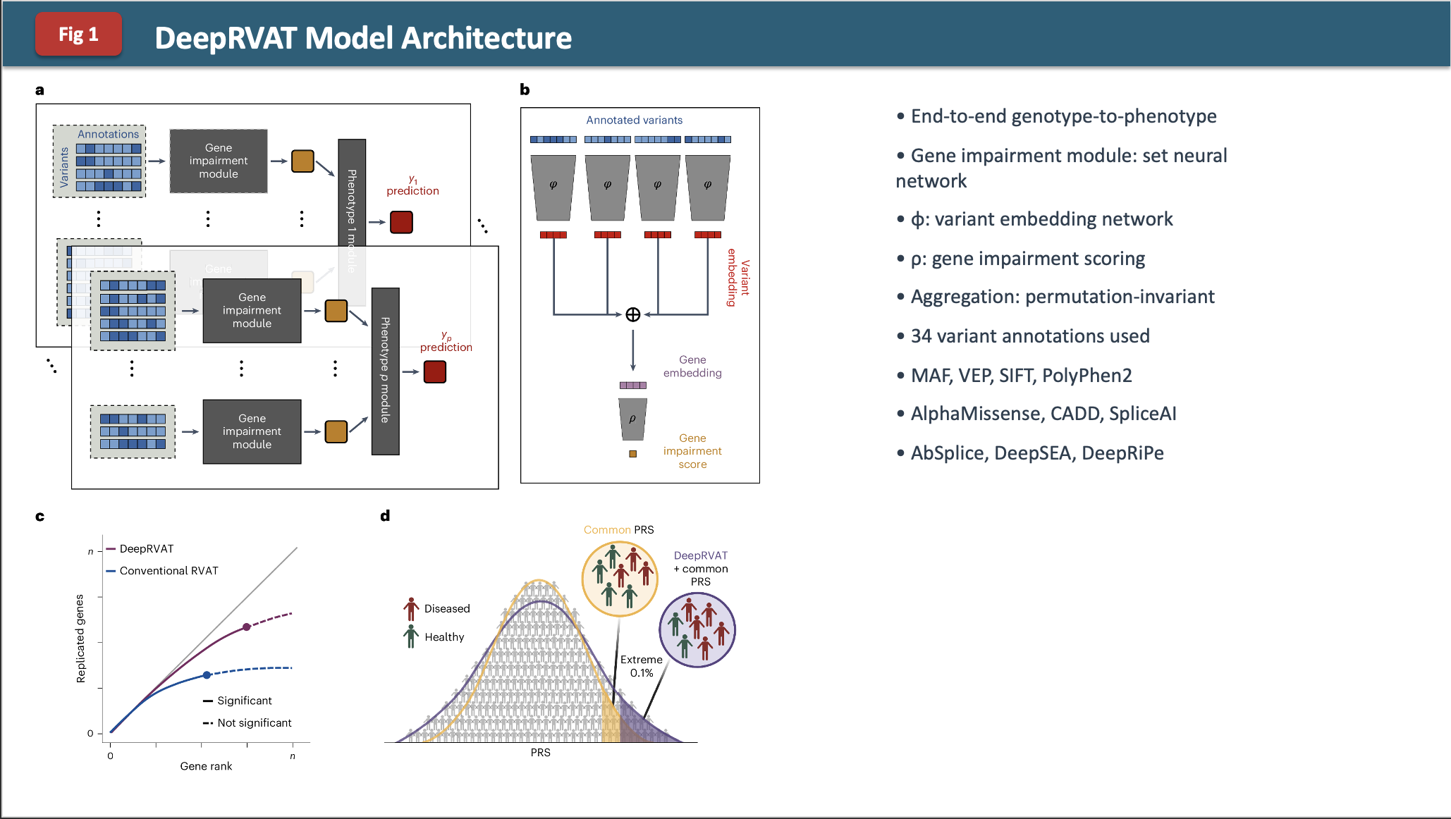 Journal club presentation slide