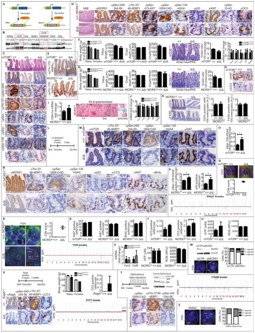 Impossible mode figure