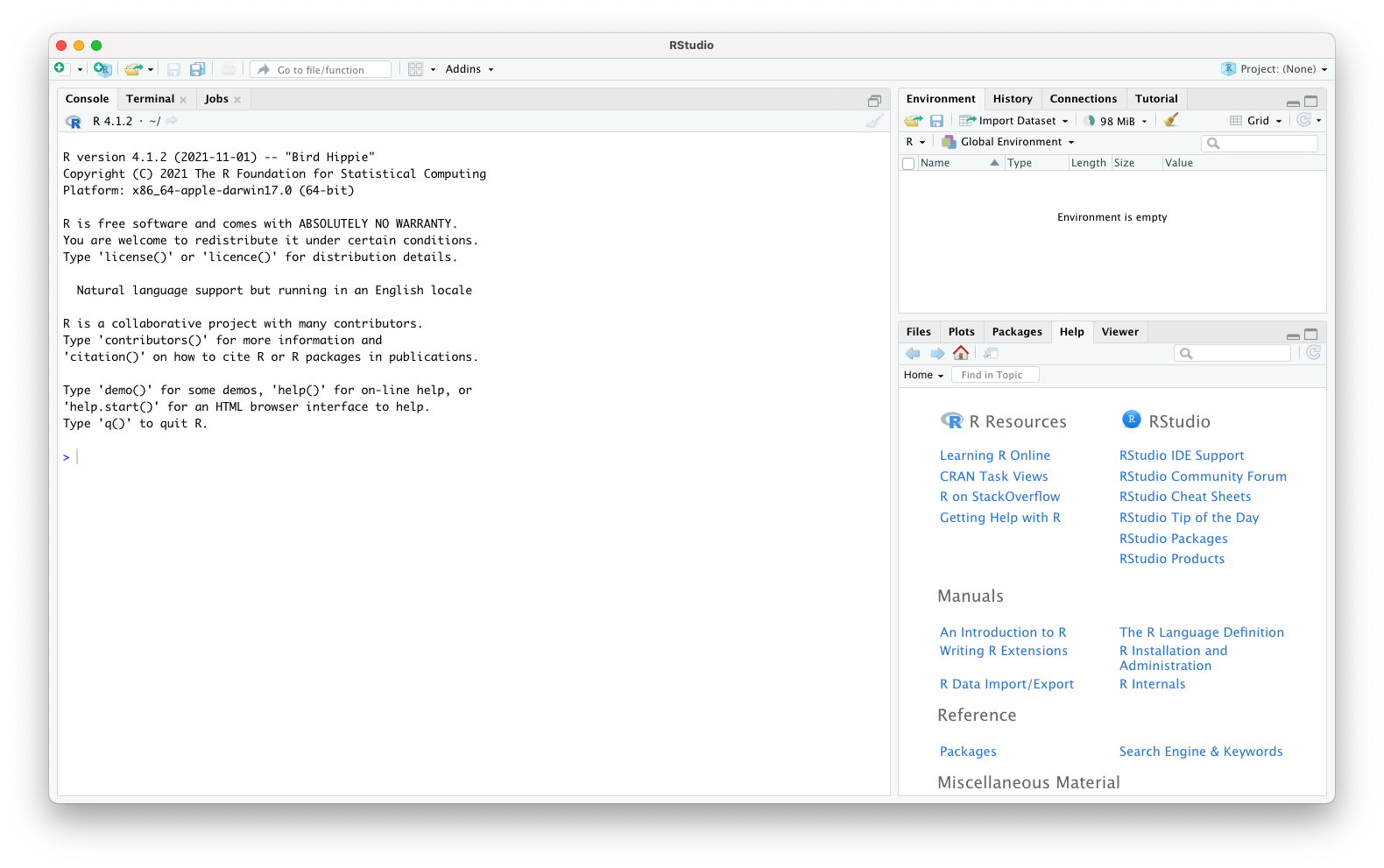 Initial state of the RStudio application.