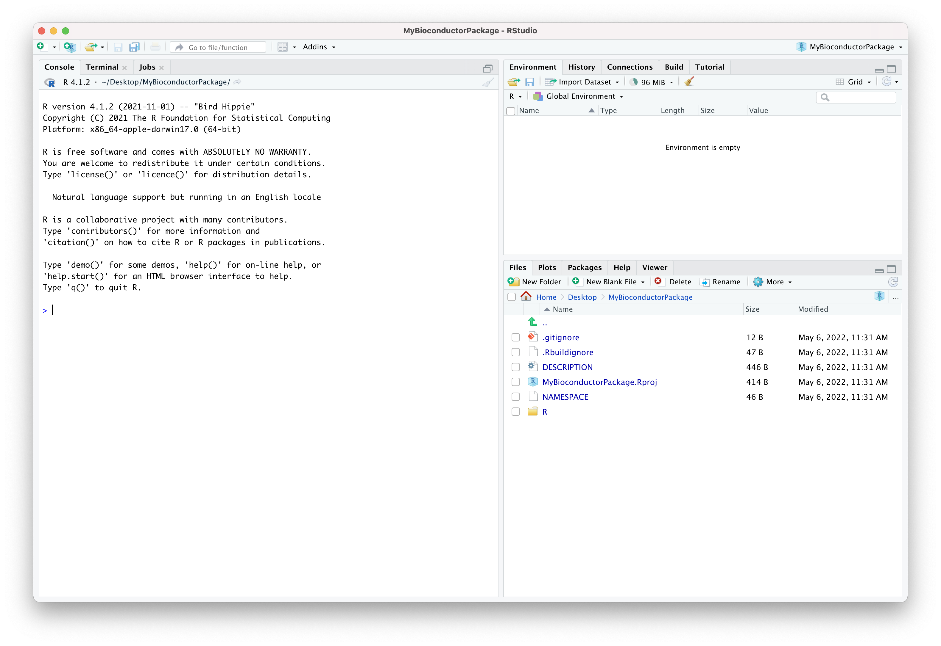 Initial state of the RStudio project for the new package.